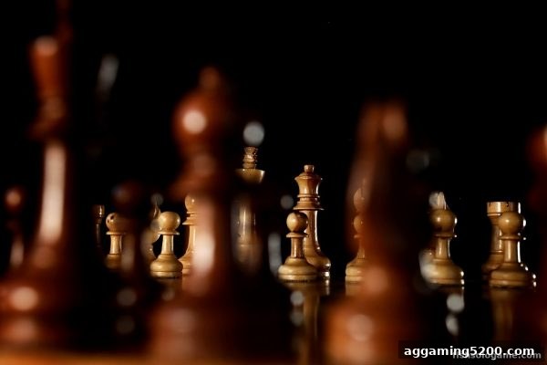 桥牌入门：捕鱼达人单机版玩家不可错过的贵族智力运动