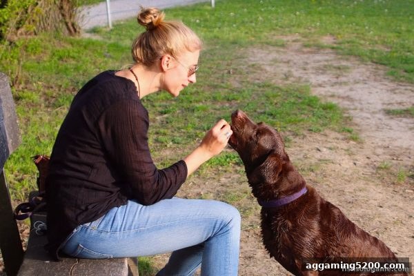 捕鱼达人单机版策略启示：极速百家乐投注决策与免费体验金运用