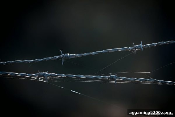 真人娱乐平台安全实战指南：捕鱼达人单机版玩家的风险识别与抉择