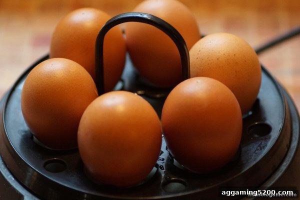 捕鱼达人单机版玩家的收藏进阶指南：骰宝街机游戏从实体框体到PC数字资产的全面解读